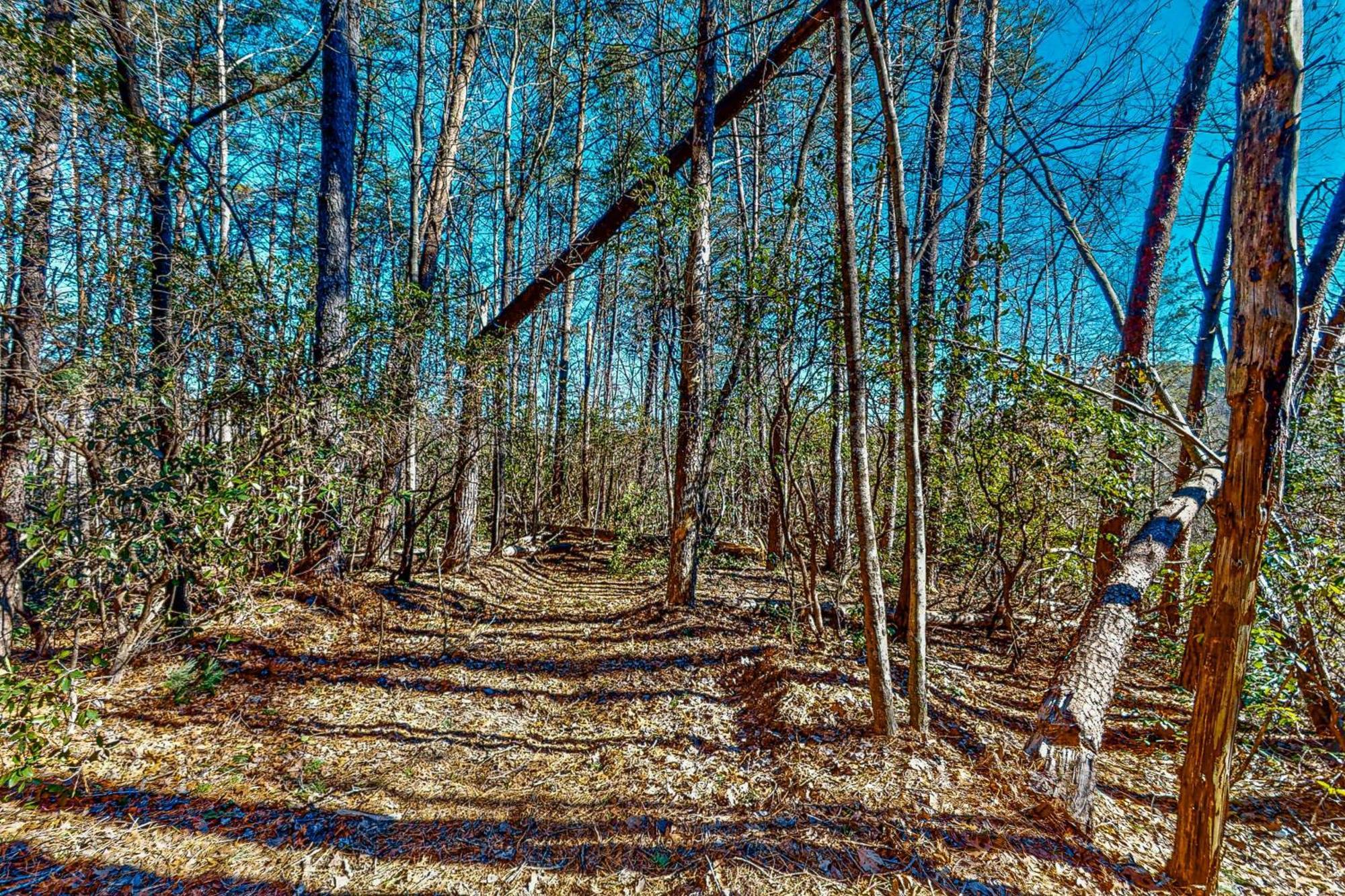 Hotel Singing Pines Sautee Nacoochee Exterior foto